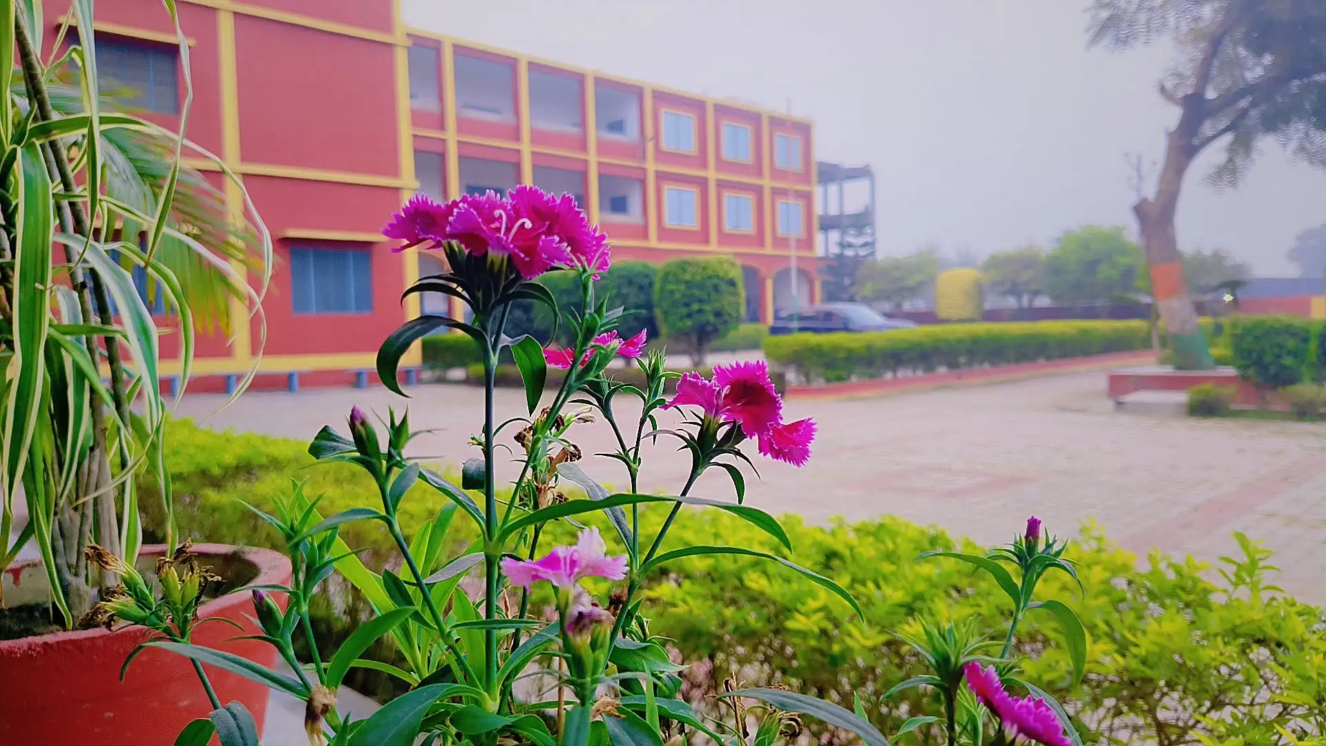 College Building